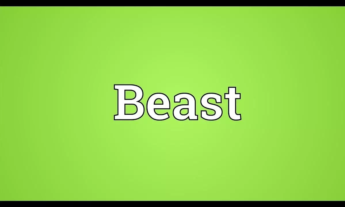Beast Tamil-பீஸ்ட் என்பதற்கு இதுதான் பொருளா..? Beast Tamil-பீஸ்ட் என்பதற்கு இதுதான் பொருளா..?