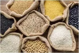Health Benefits Of Small Grains சிறுதானியத்திலுள்ள மருத்துவ குணங்கள் என்னென்ன? தெரியுமா உங்களுக்கு?.....படிங்க.. Health Benefits Of Small Grains சிறுதானியத்திலுள்ள மருத்துவ குணங்கள் என்னென்ன? தெரியுமா உங்களுக்கு?.....படிங்க..