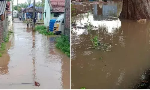 திண்டுக்கல் மாவட்ட செய்திகள், கிராமத்தில் குளம் போல தேங்கியுள்ள நீர்: திண்டுக்கல் மாவட்ட செய்திகள், கிராமத்தில் குளம் போல தேங்கியுள்ள நீர்: