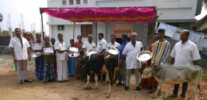 Veterinary Department Special Camp சோழவந்தான் அருகேகால்நடை சிறப்பு மருத்துவ முகாம் Veterinary Department Special Camp சோழவந்தான் அருகேகால்நடை சிறப்பு மருத்துவ முகாம்