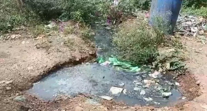 அய்யங்கோட்டை ஊராட்சியில்சுகாதார சீர்கேடு ஆட்சியர் நடவடிக்கை எடுப்பாரா? அய்யங்கோட்டை ஊராட்சியில்சுகாதார சீர்கேடு ஆட்சியர் நடவடிக்கை எடுப்பாரா?