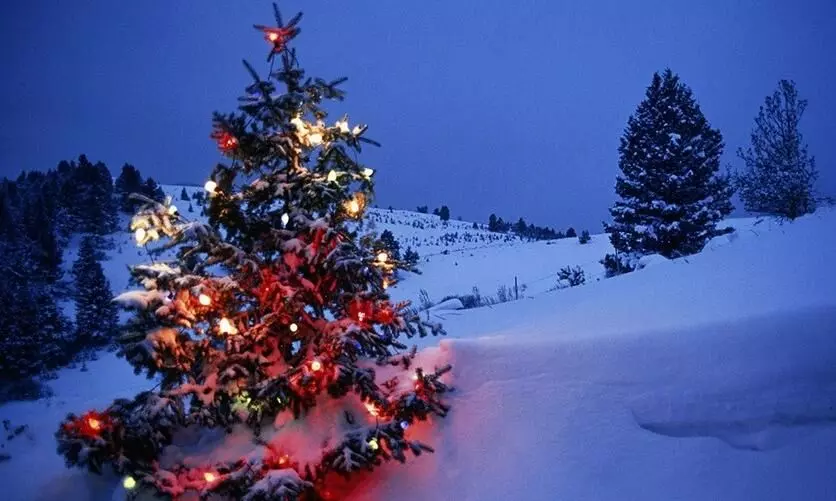 Christmas Vacation 2023,-வெள்ளைப் பனிமலையில் கிறிஸ்துமஸ் கொண்டாடுவோமா? Christmas Vacation 2023,-வெள்ளைப் பனிமலையில் கிறிஸ்துமஸ் கொண்டாடுவோமா?