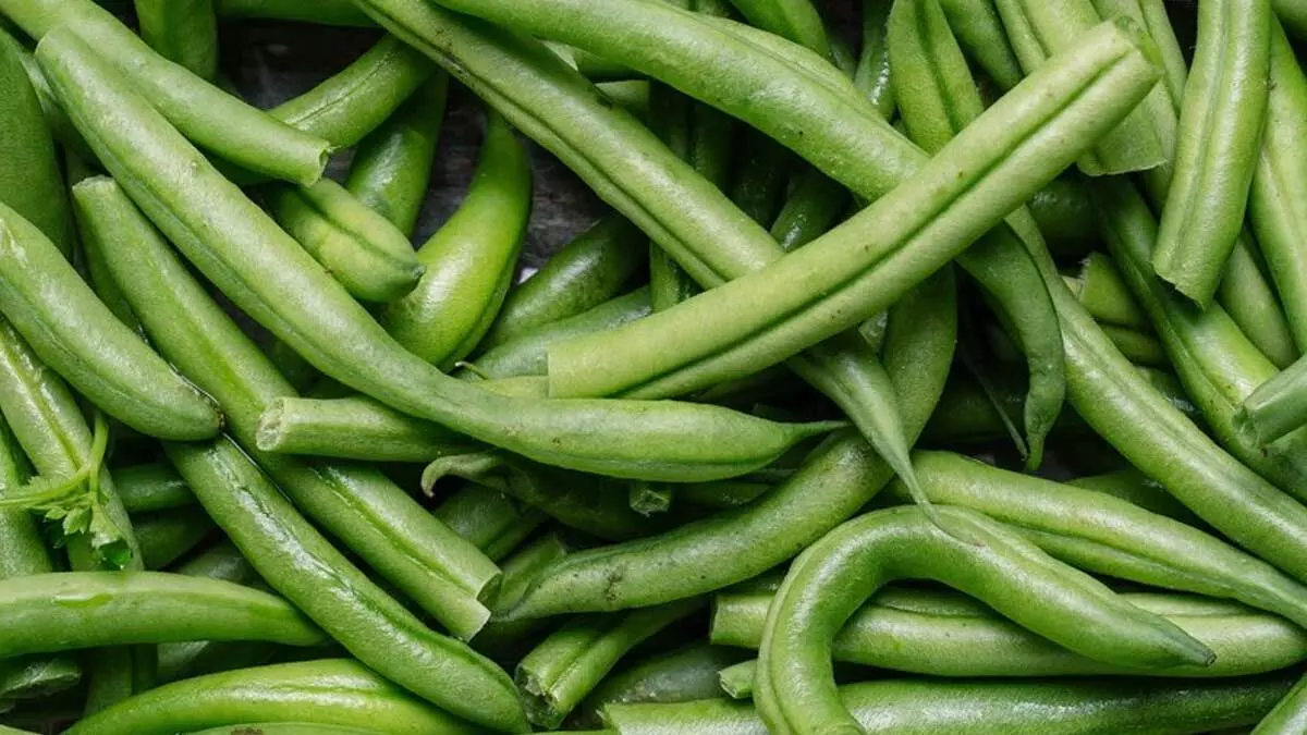 Benefits of Beans - இனிமே மிஸ் பண்ணாம சாப்பிடுங்க! அளவற்ற நன்மைகளை கொண்ட பீன்ஸ் Benefits of Beans - இனிமே மிஸ் பண்ணாம சாப்பிடுங்க! அளவற்ற நன்மைகளை கொண்ட பீன்ஸ்