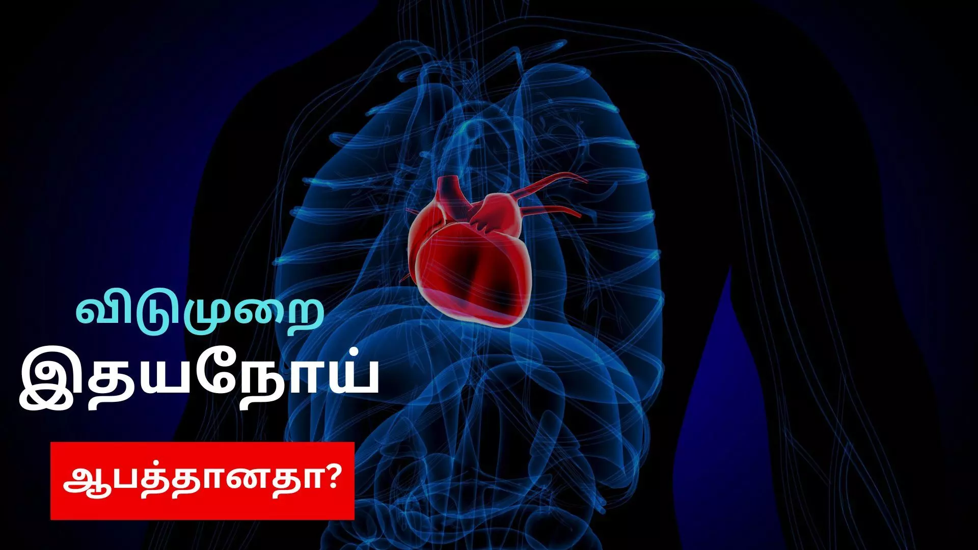 விடுமுறை இதய நோய் யாருக்கெல்லாம் வரும்..? விடுமுறை இதய நோய் யாருக்கெல்லாம் வரும்..?