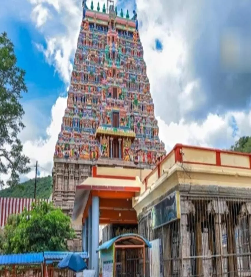 மதுரை அழகர்கோவிலில் லட்டு வழங்கும் திட்டம்; நாளை முதல் துவக்கம் மதுரை அழகர்கோவிலில் லட்டு வழங்கும் திட்டம்; நாளை முதல் துவக்கம்