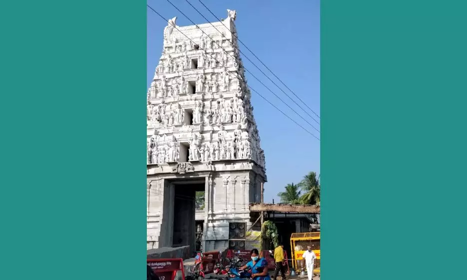 ஸ்ரீ பொன்வரதராஜ பெருமாள் கோயில் மரங்கள்வெட்டப்பட்டதாக புகார்: அதிகாரிகள் விசாரணை ஸ்ரீ பொன்வரதராஜ பெருமாள் கோயில் மரங்கள்வெட்டப்பட்டதாக புகார்: அதிகாரிகள் விசாரணை