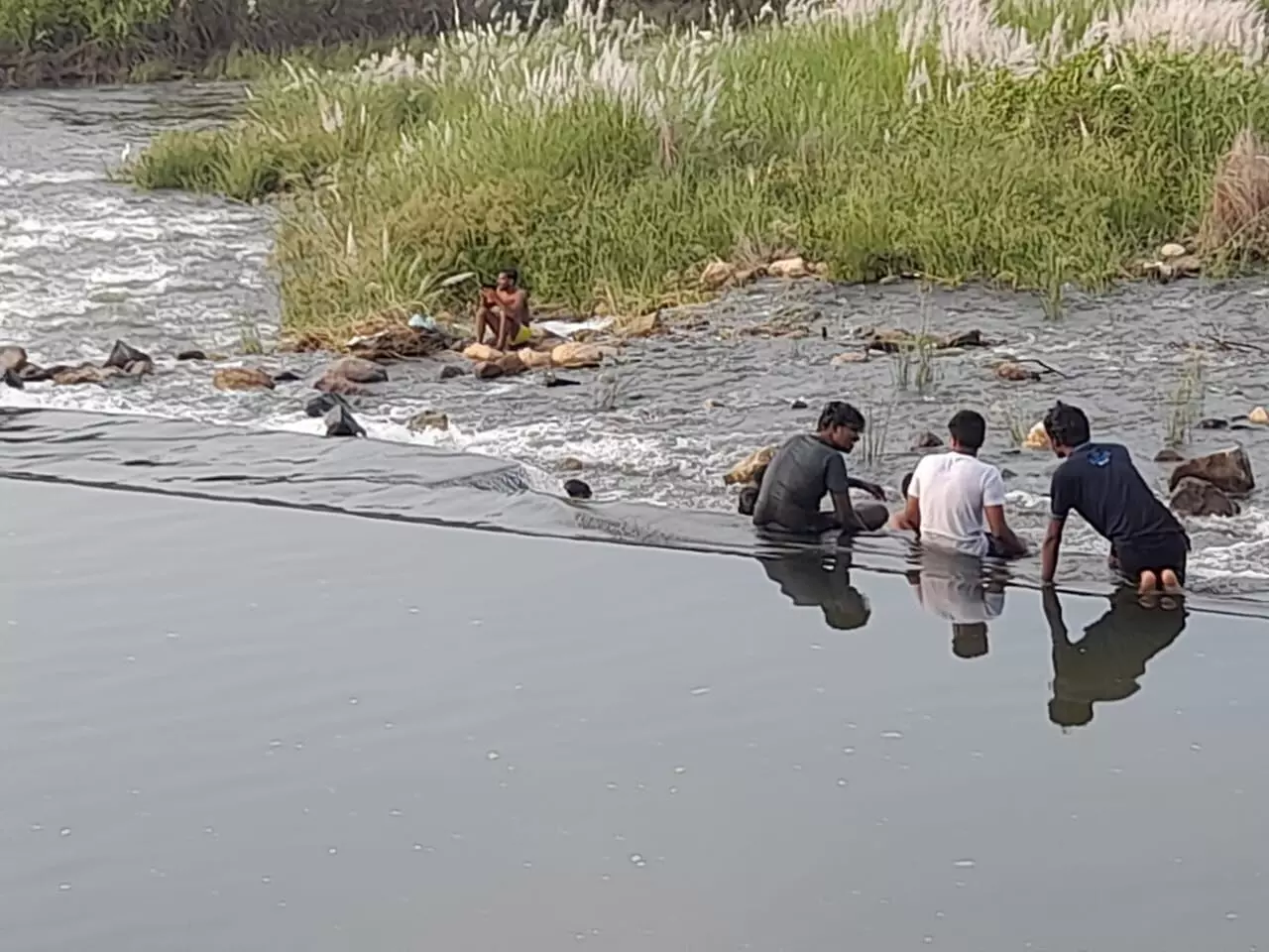 சோழவந்தான் அருகே தடுப்பணையில் குளிக்க கட்டுப்பாடுகள் விதிக்க கோரிக்கை சோழவந்தான் அருகே தடுப்பணையில் குளிக்க கட்டுப்பாடுகள் விதிக்க கோரிக்கை