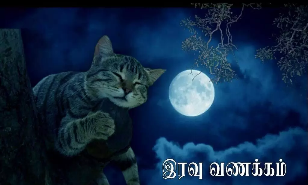 Good Night in Tamil-குட் நைட் என்பதை தமிழில் எப்படி சொல்லலாம்? Good Night in Tamil-குட் நைட் என்பதை தமிழில் எப்படி சொல்லலாம்?
