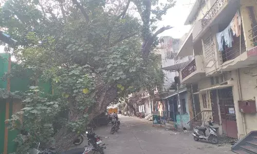 காய்ந்துபோன மரத்தால் விபத்து ஏற்படும் அபாயம்..! பொதுமக்கள் அச்சம்..! காய்ந்துபோன மரத்தால் விபத்து ஏற்படும் அபாயம்..! பொதுமக்கள் அச்சம்..!