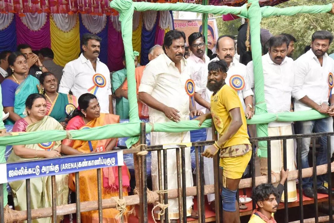 விறுவிறுப்பாக துவங்கிய அவனியாபுரம் ஜல்லிக்கட்டு; சீறிப்பாய்ந்த காளைகள் விறுவிறுப்பாக துவங்கிய அவனியாபுரம் ஜல்லிக்கட்டு; சீறிப்பாய்ந்த காளைகள்