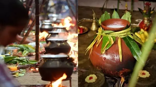 தைப் பொங்கல் திருநாள் குறித்த சிறப்புகள் - தெரிந்துக்கொள்வோம்! தைப் பொங்கல் திருநாள் குறித்த சிறப்புகள் - தெரிந்துக்கொள்வோம்!
