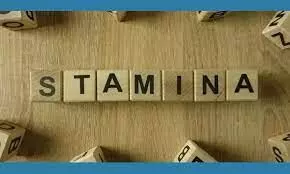 Stamina Meaning In Tamil சகிப்புத்தன்மை என்பது என்ன?... அதன் படிநிலைகள் என்னென்ன?...படிங்க.... Stamina Meaning In Tamil சகிப்புத்தன்மை என்பது என்ன?... அதன் படிநிலைகள் என்னென்ன?...படிங்க....