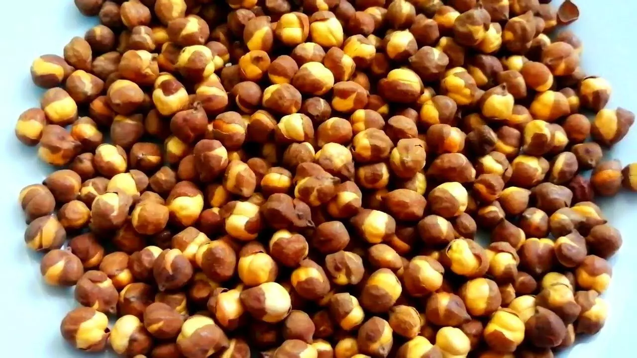 Health Benefits of Eating Salted Peanuts- உப்புக்கடலை சாப்பிடுவதால் இவ்வளவு ஆரோக்கிய நன்மைகள் கிடைக்கிறதா? Health Benefits of Eating Salted Peanuts- உப்புக்கடலை சாப்பிடுவதால் இவ்வளவு ஆரோக்கிய நன்மைகள் கிடைக்கிறதா?