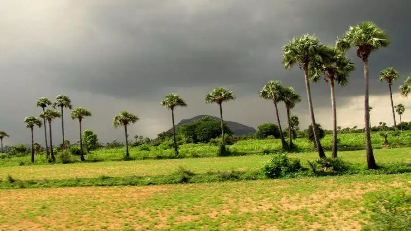 இயற்கைப் பிரியர்களின் சொர்க்கம் கேரளத்துக்கு போவோமா? இயற்கைப் பிரியர்களின் சொர்க்கம் கேரளத்துக்கு போவோமா?
