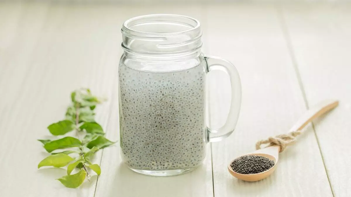 Basil Seed Benefits - சப்ஜா விதைகள் தரும் ஆரோக்கிய நன்மைகள் குறித்து தெரிந்துக்கொள்வோம்! Basil Seed Benefits - சப்ஜா விதைகள் தரும் ஆரோக்கிய நன்மைகள் குறித்து தெரிந்துக்கொள்வோம்!