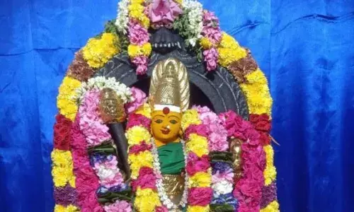 காளியம்மன் கோவில்  மகா குண்டம், தேர்த்திருவிழா பூச்சாட்டு விழா..! காளியம்மன் கோவில்  மகா குண்டம், தேர்த்திருவிழா பூச்சாட்டு விழா..!