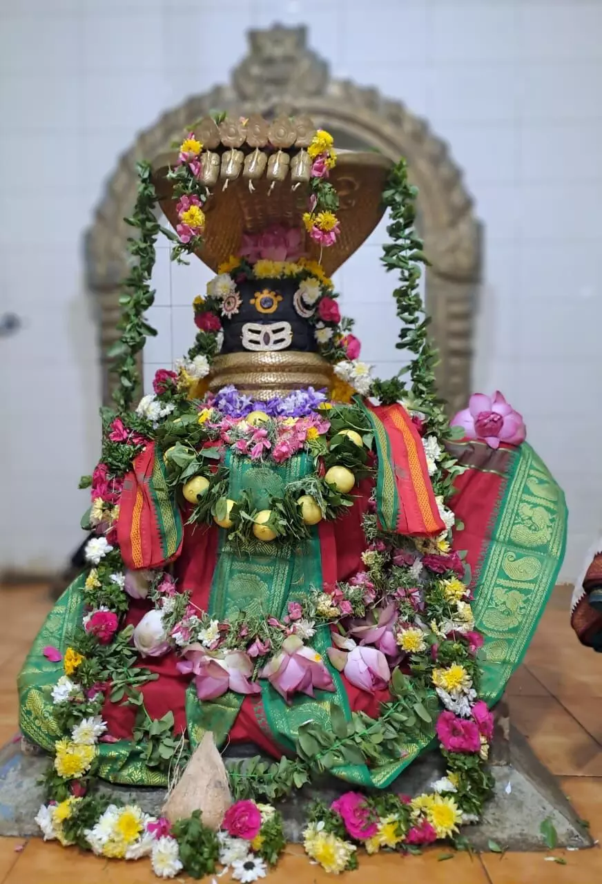 மதுரை பகுதி கோயில்களில், பிரதோஷ பூஜைகள்: குவிந்த பக்தர்கள் கூட்டம்! மதுரை பகுதி கோயில்களில், பிரதோஷ பூஜைகள்: குவிந்த பக்தர்கள் கூட்டம்!