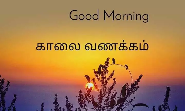 Good Morning Images with Tamil Quotes - தமிழில் சொல்லும் காலை வணக்கம்! Good Morning Images with Tamil Quotes - தமிழில் சொல்லும் காலை வணக்கம்!