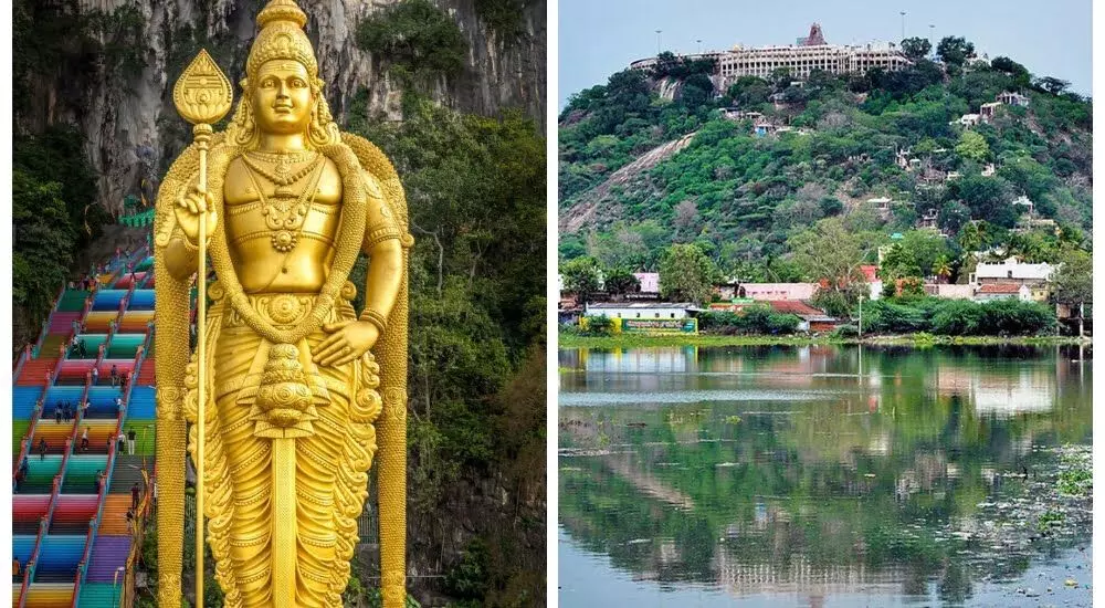 முருக பக்தர்களே... கார்த்திகை விரதம், சஷ்டி விரதம் இருந்து பாருங்க! முருகனின் அருளை பெறுங்க! முருக பக்தர்களே... கார்த்திகை விரதம், சஷ்டி விரதம் இருந்து பாருங்க! முருகனின் அருளை பெறுங்க!