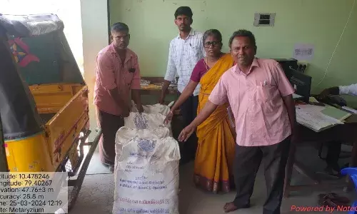 காண்டாமிருக வண்டு,கரையானை எப்படி ஒழிக்கலாம்..? தெரிஞ்சுக்கங்க..! காண்டாமிருக வண்டு,கரையானை எப்படி ஒழிக்கலாம்..? தெரிஞ்சுக்கங்க..!