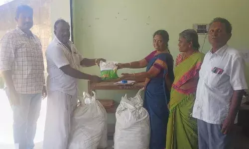 நெல்லுக்கு எது சிறந்த நுண்ணூட்ட சத்து தெரியுமா..? தெரிஞ்சுக்கங்க..! நெல்லுக்கு எது சிறந்த நுண்ணூட்ட சத்து தெரியுமா..? தெரிஞ்சுக்கங்க..!