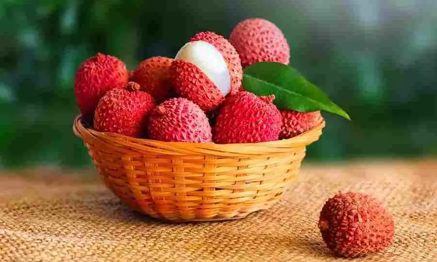 லிச்சி வைட்டமின் சி நிறைந்த பழம் ..! வேறு என்ன இருக்கு..? லிச்சி வைட்டமின் சி நிறைந்த பழம் ..! வேறு என்ன இருக்கு..?