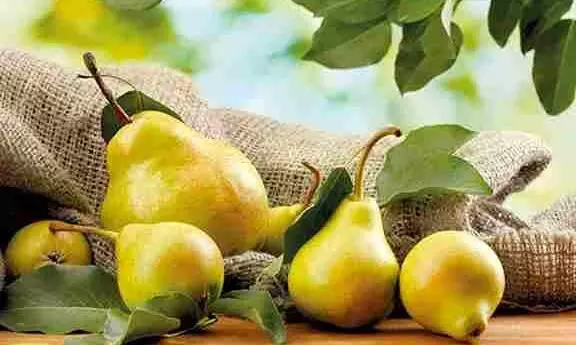 பேரிக்காய் இதுக்கெல்லாமா நல்லது..? பேரிக்காய் இதுக்கெல்லாமா நல்லது..?