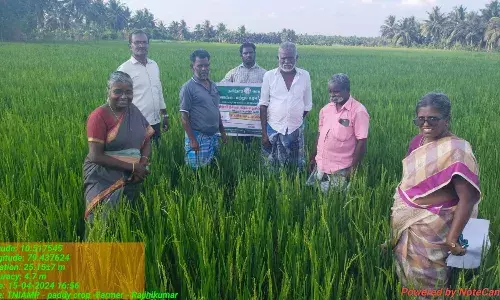 தமிழ்நாடு நீர்வள நிலவள திட்டம் :  இணை இயக்குனர் ஆய்வு..! தமிழ்நாடு நீர்வள நிலவள திட்டம் :  இணை இயக்குனர் ஆய்வு..!