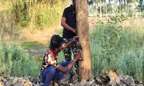 போக்கு காட்டும் சிறுத்தை தற்போது எங்கே உள்ளது?  விரிந்த தேடுதல் வேட்டை
