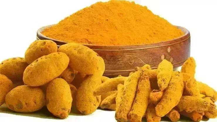 கஸ்தூரி மஞ்சளில் இவ்வளவு சமாச்சாரங்கள் இருக்குதா? கஸ்தூரி மஞ்சளில் இவ்வளவு சமாச்சாரங்கள் இருக்குதா?