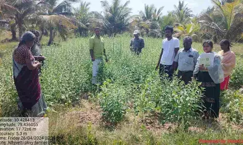 இரண்டுக்குள்ளே விஷயம் இருக்கு தெரிஞ்சுக்கங்க..! அசத்தும் விவசாயி..! இரண்டுக்குள்ளே விஷயம் இருக்கு தெரிஞ்சுக்கங்க..! அசத்தும் விவசாயி..!
