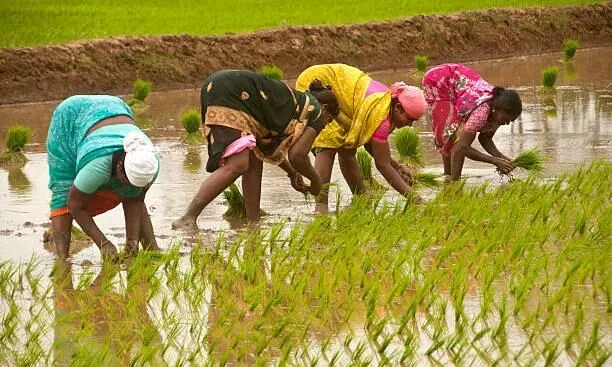 உழைக்கும் தோழர்களுக்கு ஒரு சல்யூட்..! உழைக்கும் தோழர்களுக்கு ஒரு சல்யூட்..!