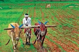 விவசாயம் பற்றிய 50 சிறந்த தமிழ் மேற்கோள்கள்! விவசாயம் பற்றிய 50 சிறந்த தமிழ் மேற்கோள்கள்!