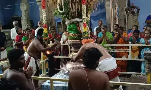 தேவதானம் நச்சாடை தவிர்த்தருளிய சுவாமி ஆலய  வைகாசி விசாக திருவிழா தேவதானம் நச்சாடை தவிர்த்தருளிய சுவாமி ஆலய  வைகாசி விசாக திருவிழா