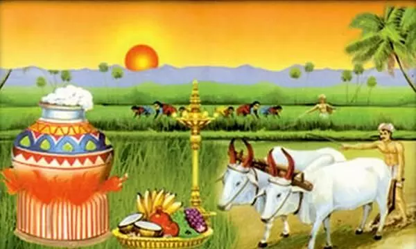 பொங்கல் பொன்னாளில் வாழ்த்து சொல்வோமா..? பொங்கல் பொன்னாளில் வாழ்த்து சொல்வோமா..?