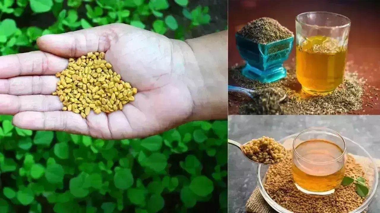 வெந்தயம் ஊறவைத்த நீரில் இத்தனை மருத்துவ குணங்கள் இருக்குதா? வெந்தயம் ஊறவைத்த நீரில் இத்தனை மருத்துவ குணங்கள் இருக்குதா?