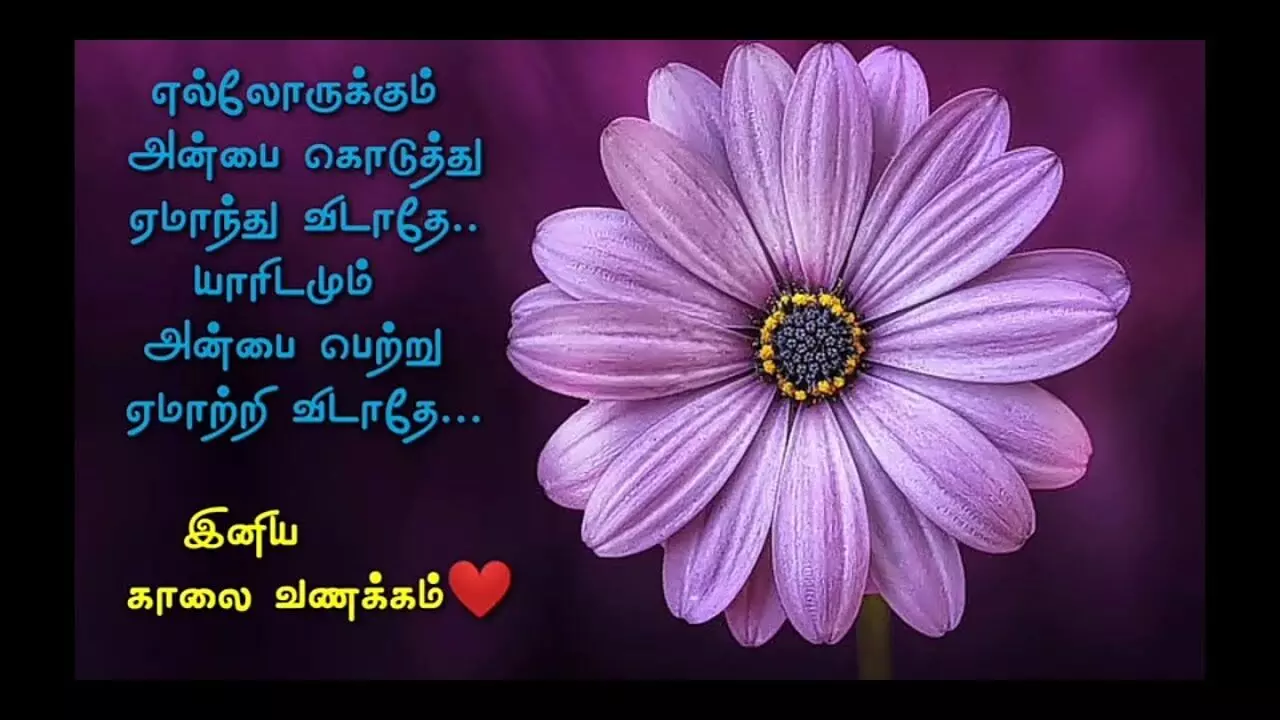 தினமும் காலைப் பொழுதுகளை மிக அழகாக்கும் காலை வணக்கம் கவிதைகள்! தினமும் காலைப் பொழுதுகளை மிக அழகாக்கும் காலை வணக்கம் கவிதைகள்!