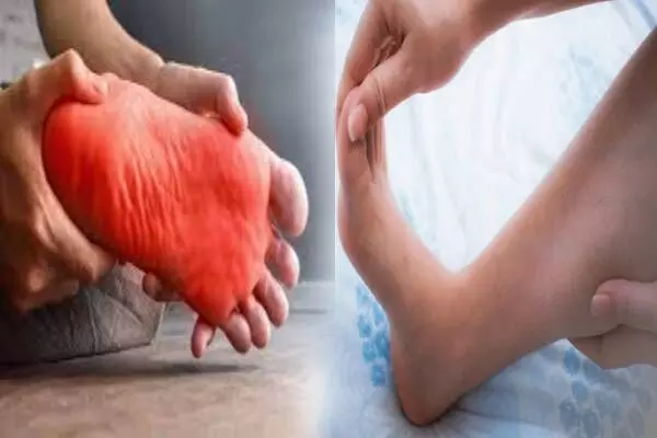 சில நேரங்களில் கை, கால் உணர்வில்லாமல் போகிறதா? - அதற்கு காரணம் இந்த வகை உணவுகள்தான்! சில நேரங்களில் கை, கால் உணர்வில்லாமல் போகிறதா? - அதற்கு காரணம் இந்த வகை உணவுகள்தான்!
