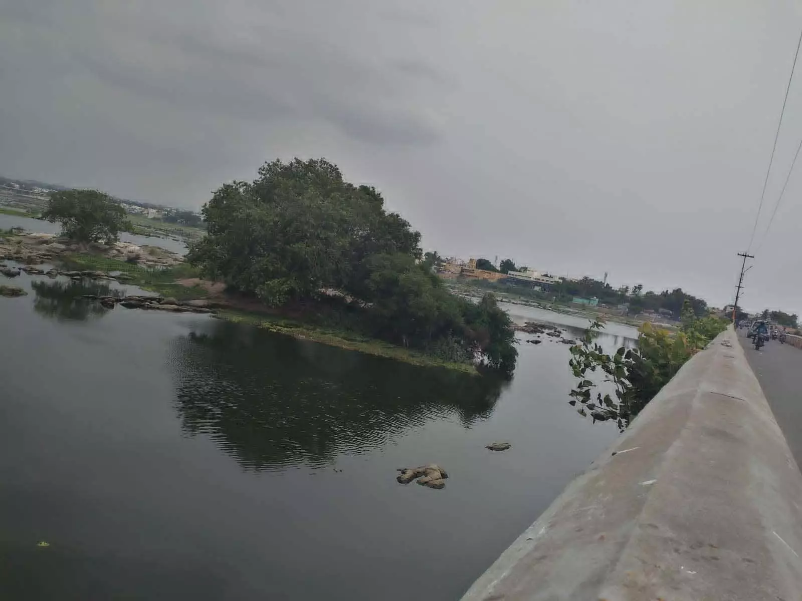 பாலத்தின் பக்கவாட்டு சுவற்றில் மரங்கள்! அப்புறப்படுத்த கோரிக்கை! பாலத்தின் பக்கவாட்டு சுவற்றில் மரங்கள்! அப்புறப்படுத்த கோரிக்கை!