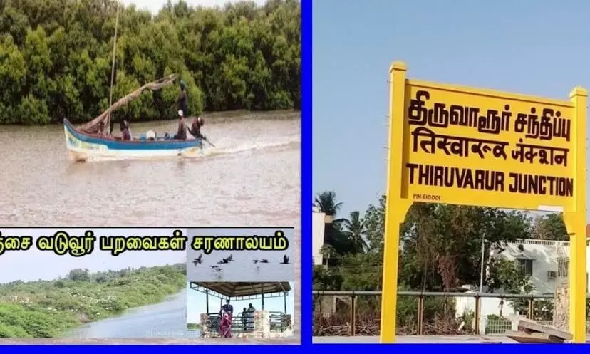 திருவாரூர் மாவட்டத்தில் நீங்கள் பார்க்க வேண்டிய சுற்றுலாத் தலங்கள் என்னென்ன தெரியுமா? திருவாரூர் மாவட்டத்தில் நீங்கள் பார்க்க வேண்டிய சுற்றுலாத் தலங்கள் என்னென்ன தெரியுமா?