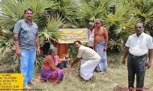மதுக்கூர் வட்டார விவசாயிகளுக்கு வேப்பங்கன்றுகள் வழங்கல்..! மதுக்கூர் வட்டார விவசாயிகளுக்கு வேப்பங்கன்றுகள் வழங்கல்..!