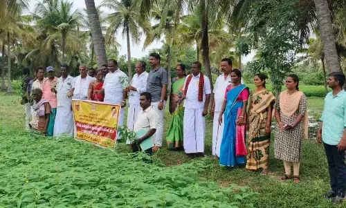 மதுக்கூர் வட்டார அண்டமி கிராமத்தில் ட்ரோன் மூலமாக பயிர்கள் ஆய்வு..! மதுக்கூர் வட்டார அண்டமி கிராமத்தில் ட்ரோன் மூலமாக பயிர்கள் ஆய்வு..!