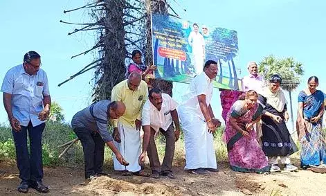 பரமத்தி வேலூர் பகுதியில் பனை விதைகள் நடும் விழா: 1,600 விகைள் நடவு