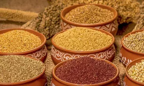 ஊத்துக்குளி வட்டாரத்தில் சிறுதானிய விளைச்சலை அதிகரிக்க விவசாயிகளுக்கு பயிற்சி ஊத்துக்குளி வட்டாரத்தில் சிறுதானிய விளைச்சலை அதிகரிக்க விவசாயிகளுக்கு பயிற்சி