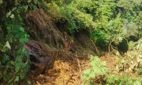 கனமழையால் மண் சரிவு: குன்னூர்-மேட்டுப்பாளையம் மலை ரயில் சேவை ரத்து