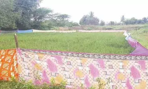 அரூர் ஒன்றியத்தில் புதுமை: காட்டு விலங்குகளிடமிருந்து பயிர்களை காக்க சேலை வேலி! அரூர் ஒன்றியத்தில் புதுமை: காட்டு விலங்குகளிடமிருந்து பயிர்களை காக்க சேலை வேலி!