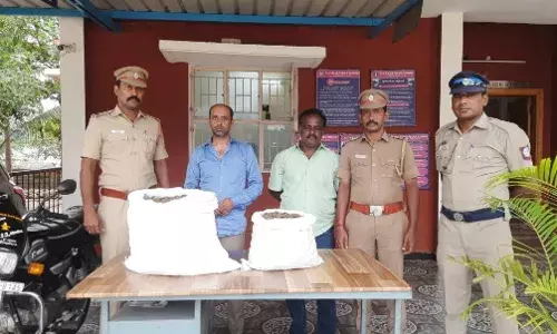 சூலூரில் விற்பனைக்காக கொண்டு வந்த 14 கிலோ கஞ்சா பறிமுதல்: இருவர் கைது