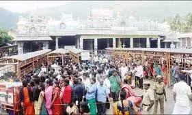நின்றது மழை.. துவங்கியது  கிரிவலம்.. திருவண்ணாமலையில் லட்சக்கணக்கான  பக்தர்கள் கிரிவலம் நின்றது மழை.. துவங்கியது  கிரிவலம்.. திருவண்ணாமலையில் லட்சக்கணக்கான  பக்தர்கள் கிரிவலம்