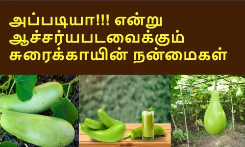சிறுநீரகத்தை சுத்தமாக பராமரிக்கணுமா? சுரைக்காய் சாப்பிடுங்க! சிறுநீரகத்தை சுத்தமாக பராமரிக்கணுமா? சுரைக்காய் சாப்பிடுங்க!