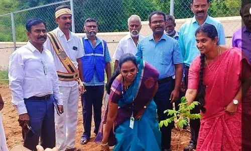 அலங்காநல்லூர் அருகே ஜல்லிக்கட்டு மைதானத்தில் மரக்கன்றுகள் நடும் நிகழ்ச்சி..! அலங்காநல்லூர் அருகே ஜல்லிக்கட்டு மைதானத்தில் மரக்கன்றுகள் நடும் நிகழ்ச்சி..!